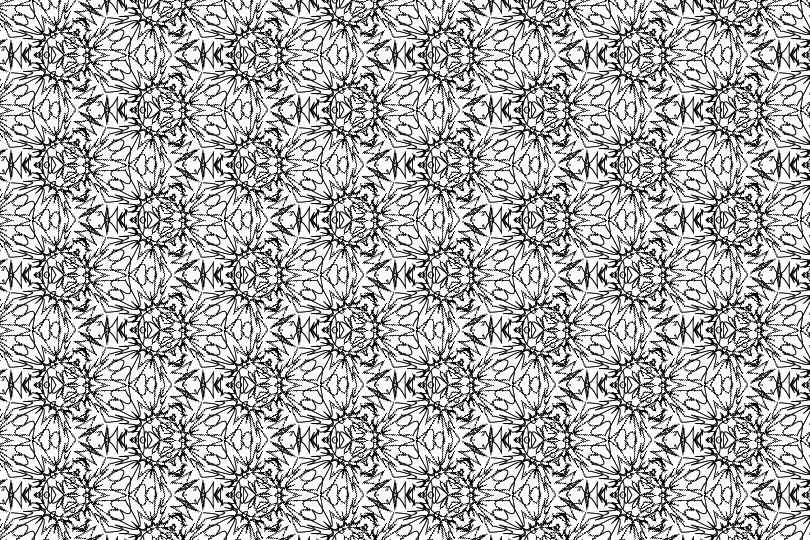 白黒パターン014